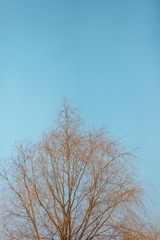 7BA4AE47-34A0-4F54-A11A-4B0525C44F3F/L0/001