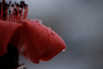 577210