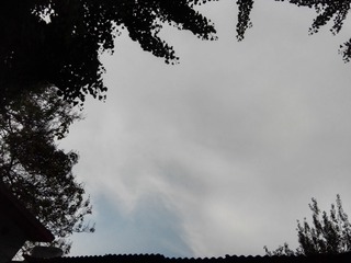 16914