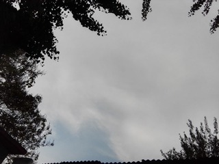 16913
