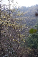 FFC3016F-02A9-41B0-A955-77F8EC26D786/L0/001