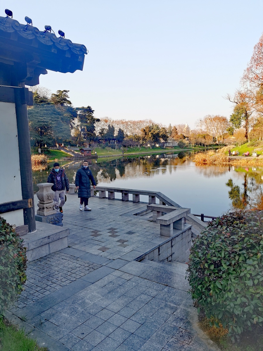 练习静物摄影图中的景观是玄武湖樱州