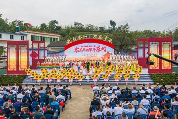 1161544