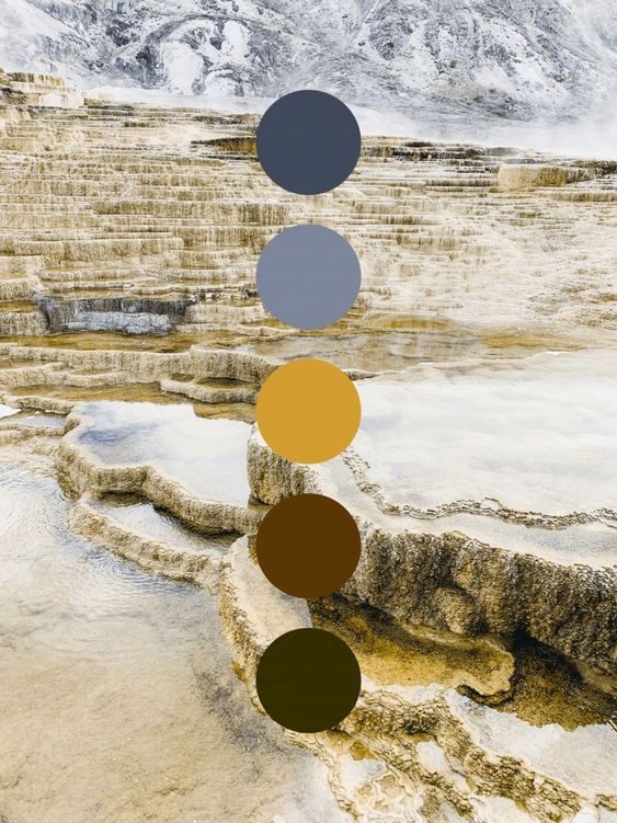 自然色彩之美 - 叁月品牌logo设计