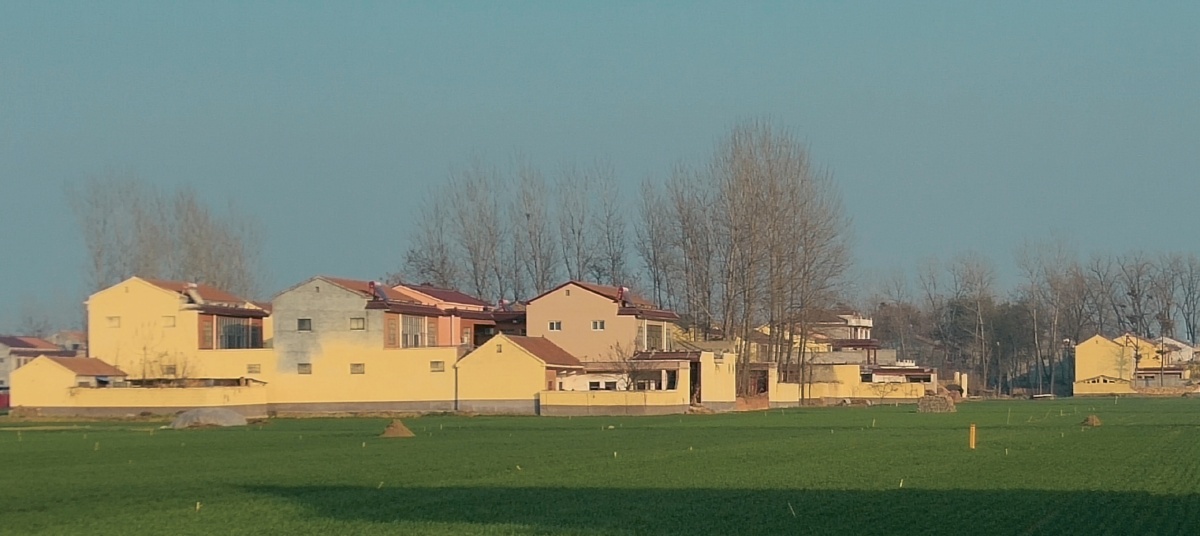 初冬的阳光沐浴着豫东的农村