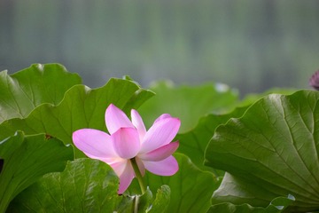 6E9A54A7-4E3C-4F18-A965-D78738F01381/L0/001