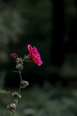 49871D72-B3D1-4F15-8D89-FF87D889EB3C/L0/001