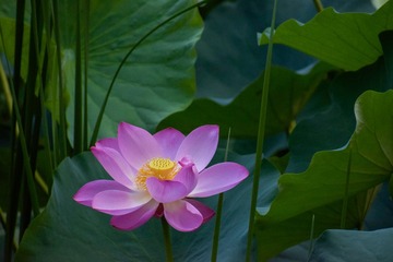976A5734-42AF-43DB-AE99-A984FE164595/L0/001