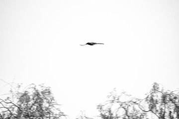 89381C32-B8AA-43CC-A71A-D5A03ADA11CC/L0/001