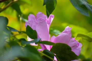 A47D3D8B-2BB4-4CC2-AE8D-C62CB52B0B5E/L0/001