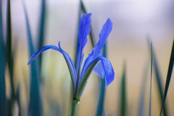 63DF0E48-7B61-44E9-8051-0E44EE0AB53F/L0/001