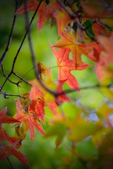 1F84912B-8CFC-43CD-8520-BFE297F7FA9F/L0/001