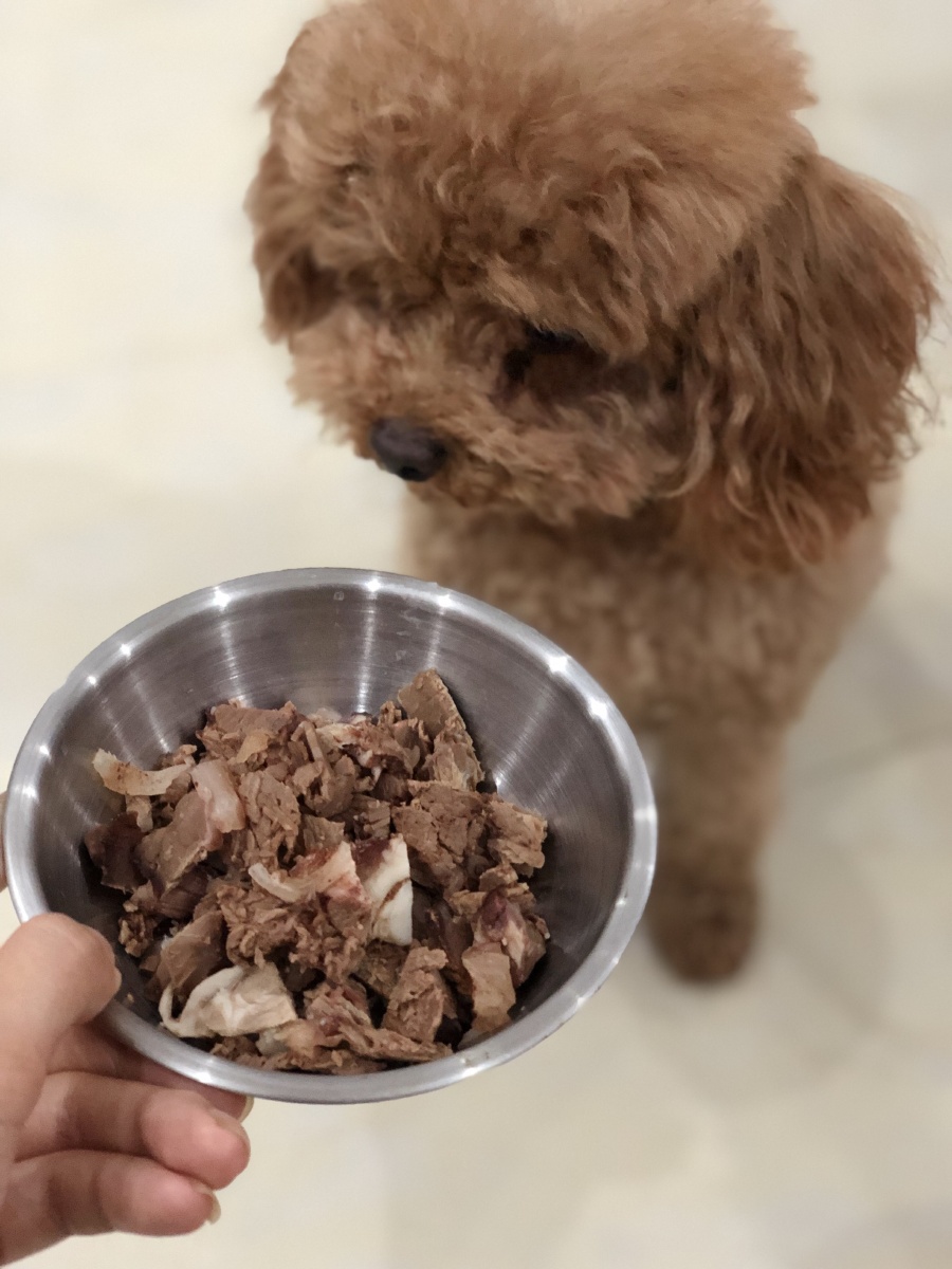 宠物去味剂怎么用