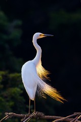 903705