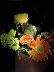 B70048D8-8A04-4E4A-A685-1C6BA1E64E71/L0/001