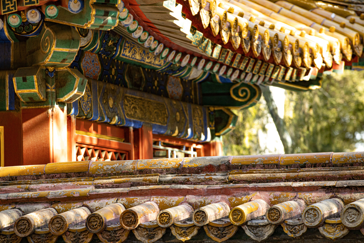 故宫御花园的下午阳光照常洒落亭檐仿佛一切都没有发生过