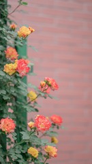 D8F045CC-DFD9-41D4-ACE0-35F60EBBA5A8/L0/001