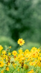148D7F56-FB48-49E4-8EEA-4E4E8866F1CE/L0/001