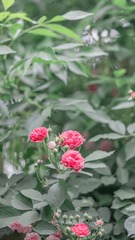 BBA111AB-53D7-4718-8712-0EFC9B6BF00D/L0/001