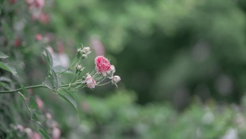 6F9D0A9C-7714-4FDD-AA82-A3FE6DE70C85/L0/001