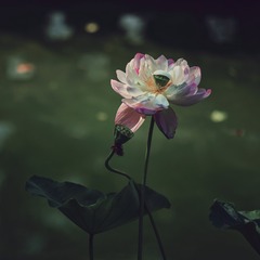 001