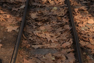339379