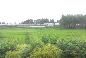 37442
