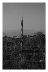 1000050601