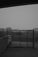 1000020086