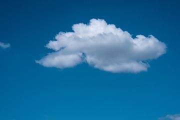 1207731