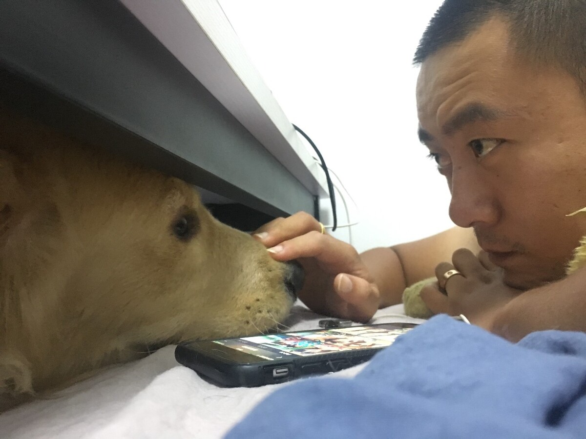 义乌宠物医疗,金华最老宠物医院提供全方位服务宠物