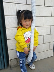 9119
