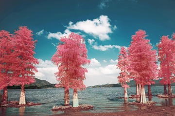 CC6B2E1A-ED27-4B89-AE22-C5597691C929/L0/001