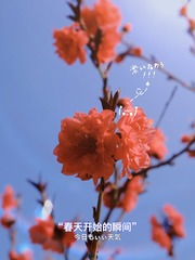 D2D82DAE-A15F-415C-B1F4-B985FAA48F9F/L0/001