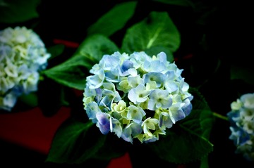 88B37B19-D74E-4FDB-B35C-D6D86ADE9809/L0/001