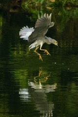 303197