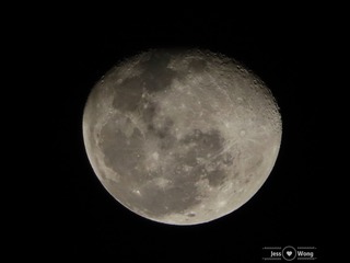 48DF7345-B431-4E37-BD2F-A747D7DC980B/L0/001
