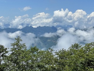 79253D76-8B4B-4A7D-BA4B-A37F952EE3D0/L0/001