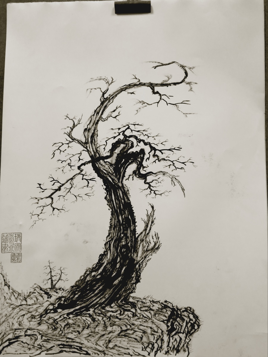 业余用毛笔画的盆景画的太丑不太好看也就图个自己高兴请多多批评点化