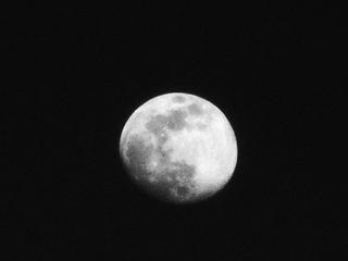 2744549