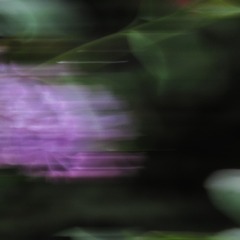 2749889