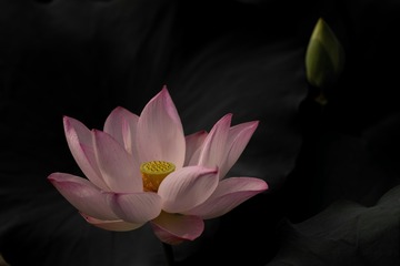 18435931-1490-49F9-A012-8B61B8A3CD63/L0/001