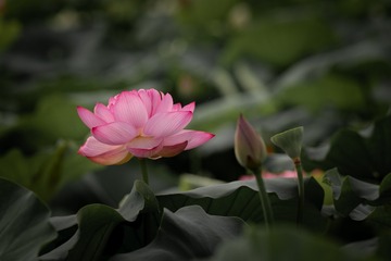 04497D0D-EBCB-4A44-A9A2-9F04CD2917D1/L0/001