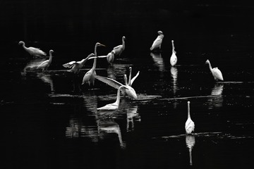 001076D5-C680-4143-9D16-26263870D5C8/L0/001