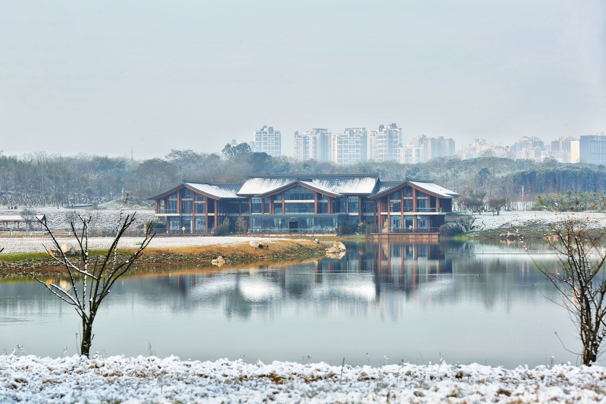 成都青龙湖雪景
