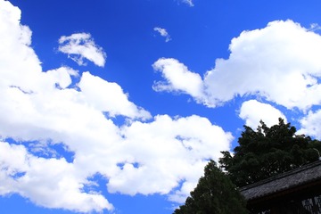 大理古城49