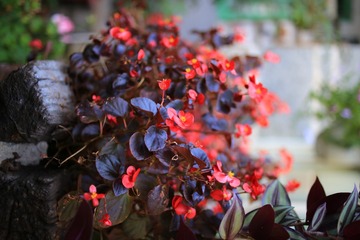 大理古城81-花笙客栈7
