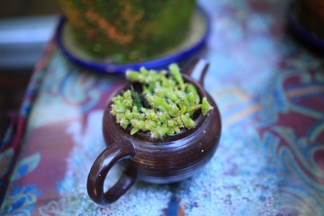 大理古城90-花笙客栈16