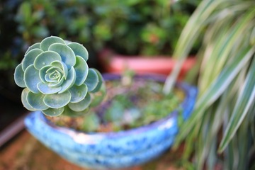 大理古城93-花笙客栈19