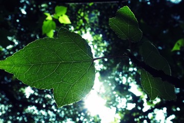 R0010734
